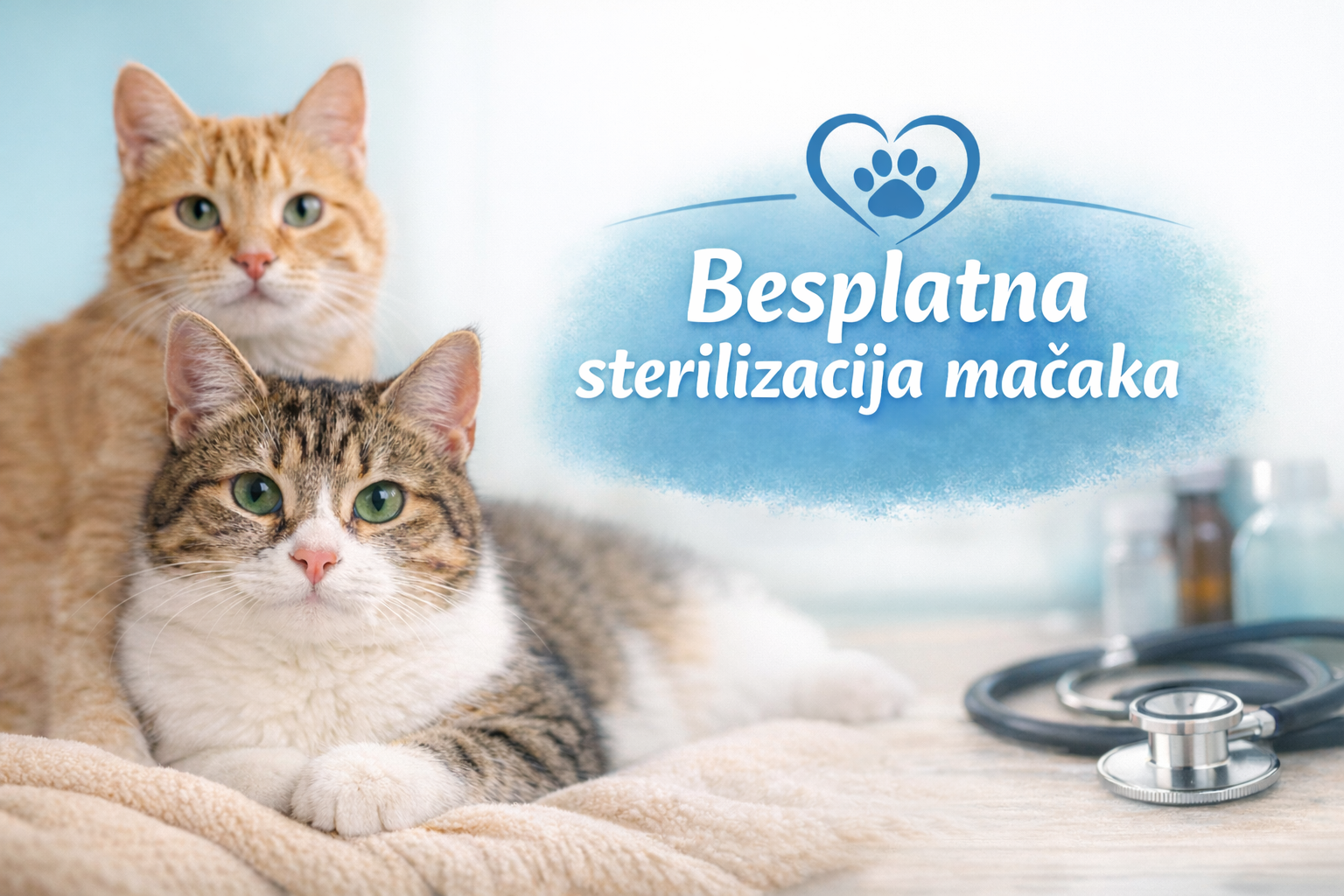 vizual s dvije mačke i tekstom - besplatna sterilizacija mačaka